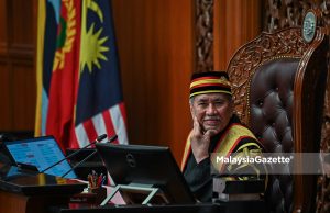 Setuju terima tugas demi negara walaupun sudah umum bersara – Wan Junaidi