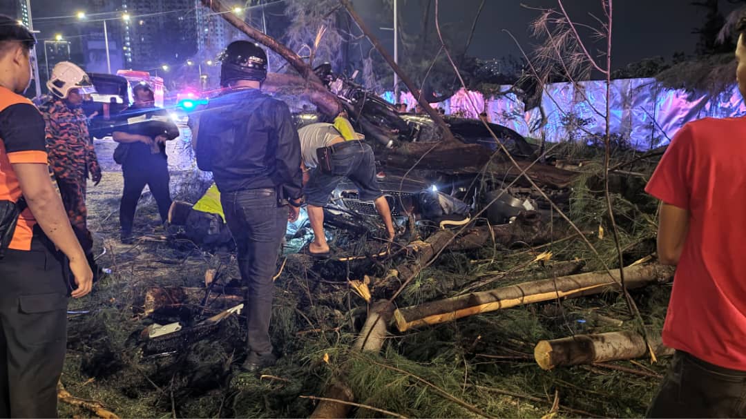 Remaja Lelaki Maut, Sembilan Cedera Ditimpa Pokok Tumbang