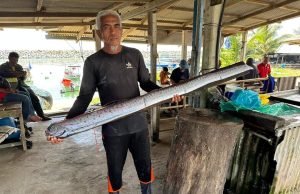 Ikan naga yang jarang ditemui diserah pada UMT