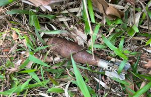 Nak cari rebung, terjumpa bom mortar