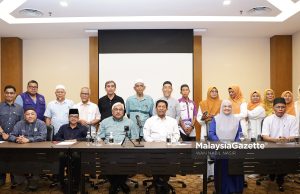 NGO gesa wujudkan kerajaan Melayu Islam tanpa DAP