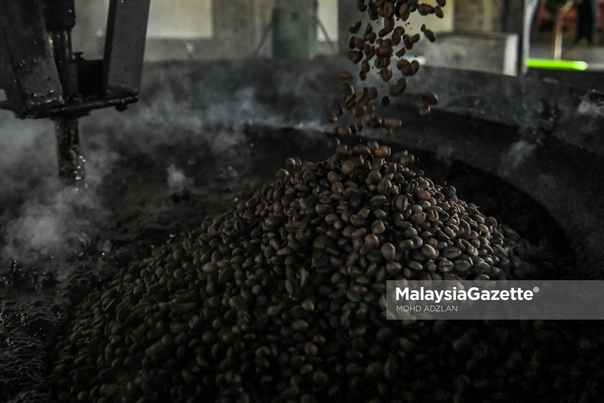 Kopi naik harga! Salah perubahan iklim