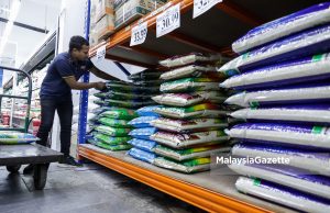 Kekurangan beras tempatan: Industri sudah beri amaran awal