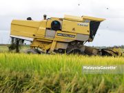 SMART Sawah ala Sekinchan bakal diperluas di Johor