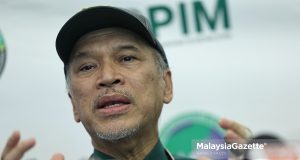 Nadzim Johan