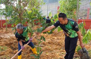 Projek ECRL lindungi populasi Harimau Malaya