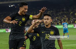 Harimau Malaya jatuh tiga anak tangga