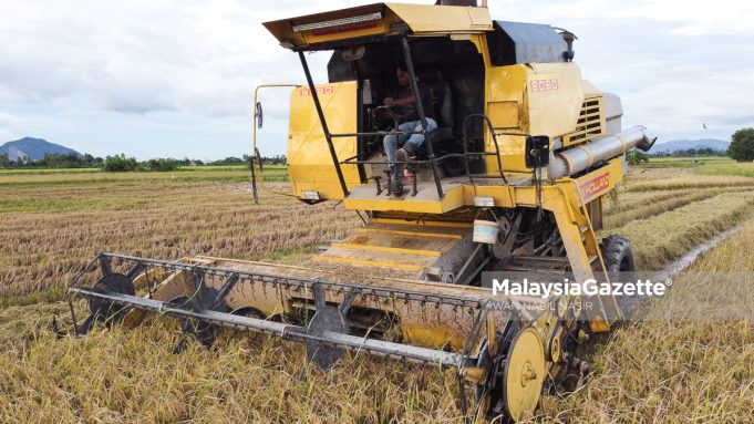 MGF22092023_SAWAH PADI-6 NAFAS