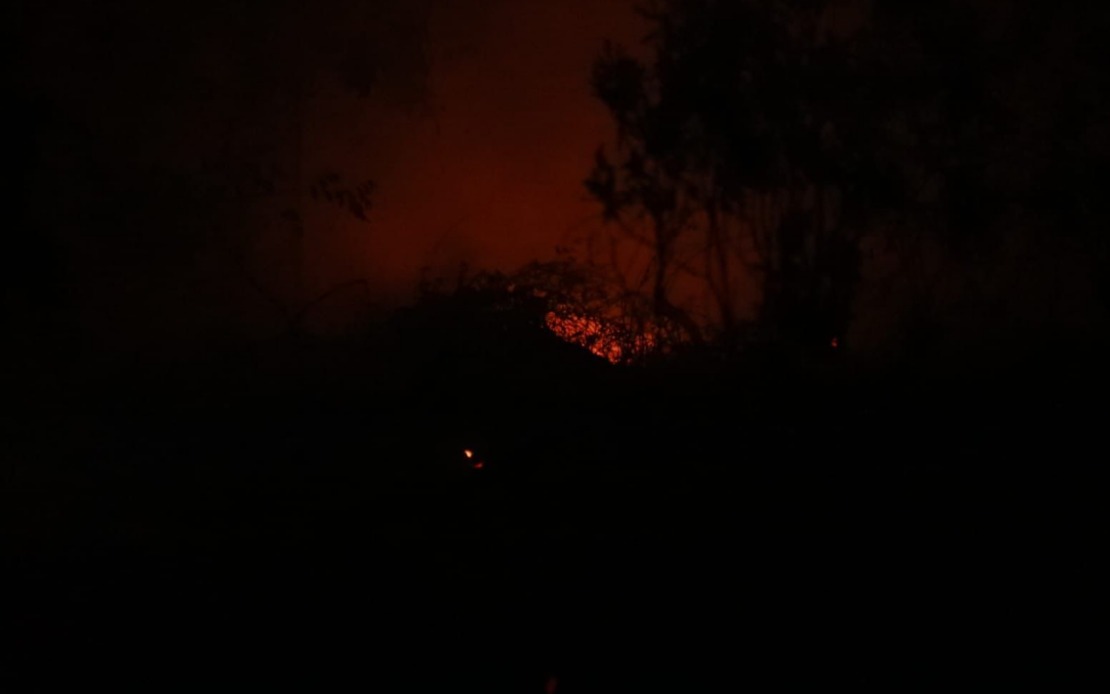 Darurat diisytihar di Kalimantan Tengah akibat pencemaran udara dan kebakaran hutan