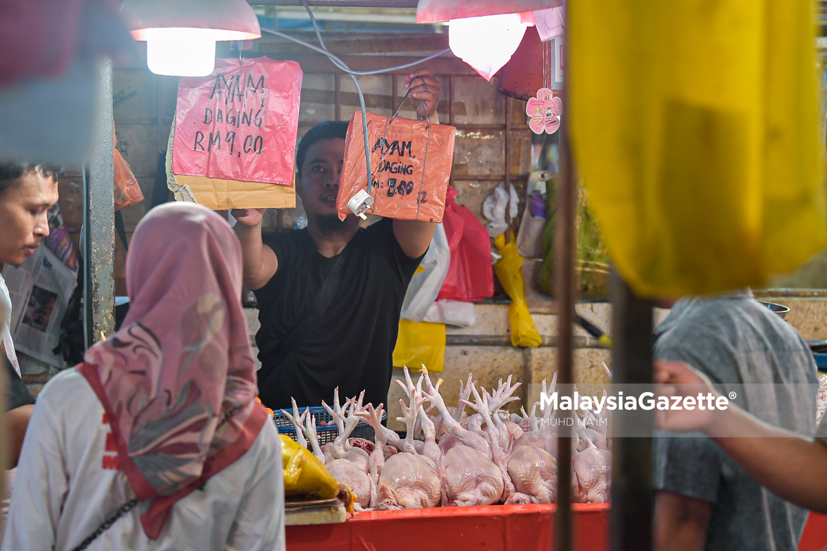 Wanita Thailand seludup kaki ayam bernilai RM77,972 dari Malaysia