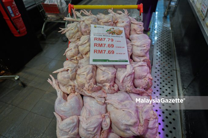 MGF011102023_TINJAUAN HARGA AYAM TANPA SUBSIDI-5