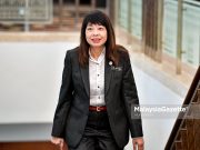 Subsidi bersasar dijangka tak tingkatkan kos industri sedia – Hui Ying Lim Hui Ying