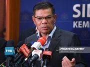Saifuddin nafi dakwaan cuba halang penubuhan Majlis Media Malaysia