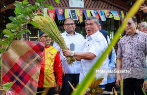 Isu kekurangan beras tempatan semakin reda – Mohamad Sabu