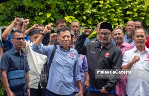 Apa agenda cadang Pilihan Raya PBT? – NGO