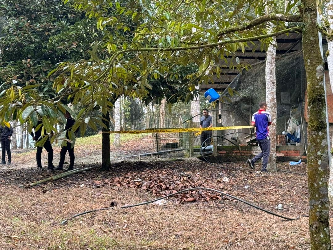 Lelaki warga asing ditemui maut di kebun durian