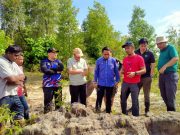 GEONAT temukan fosil karang zaman Paleozoik di Perak