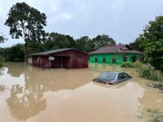 Sungai Pahang, Sungai Rompin melepasi paras bahaya