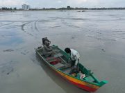 Curi benih kerang: Tiada tangkapan, rampasan selepas aduan dibuat