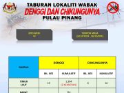 12 kematian akibat denggi di Pulau Pinang