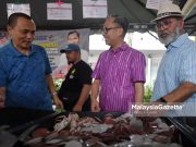 Kerajaan beri jaminan tak guna data PADU untuk kempen PRU16