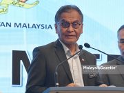 123,133 kes denggi tahun lalu, 100 kematian