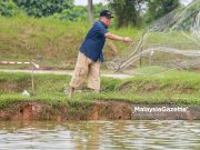 MAFS siasat dakwaan Bernas utamakan pasar raya besar agih BPT