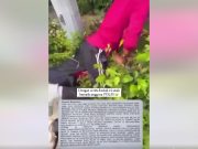 KPM tidak kompromi kes buli