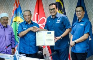 Afnan Hamimi dilantik Ketua Pemuda PN baharu