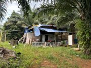 Bunuh majikan kerana sering dimarahi, warga Indonesia diberkas