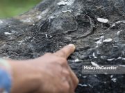 Penemuan fosil: Mampu jadi lokasi pelancongan baharu di Perak