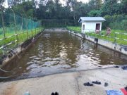 3 termasuk dua kanak-kanak lemas dalam kolam latihan kereta kebal