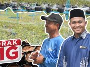 Borak MG : Hasil Bimbingan MAIWP, Asnaf Kini Meneroka Projek Tanaman Cili