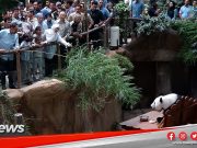 MGNews: PM Umum Peruntukan Tambahan RM5 Juta Untuk Zoo Negara