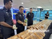 Tapak kubur Cina berusia 93 tahun jadi lokasi simpan ganja