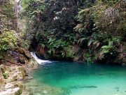 Hentikan budaya ‘hidden gems’, jangan ceroboh hutan simpanan kekal