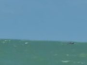 Bos Azlina karam di perairan Bintulu