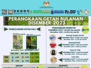 Pengeluaran getah asli turun 1.1% bulan Disember