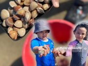 Cari kepah di persisiran pantai Tanjung Lumpur