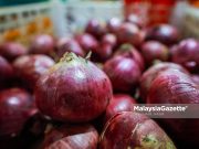 Bekalan bawang dalam negara mencukupi