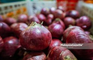 Hirisan bawang dalam burger McDonald’s didakwa cetus wabak e.Coli