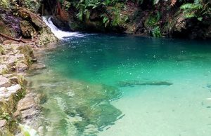 ‘Blue Lagoon’ diceroboh, ganggu penyelidikan pelajar UPM