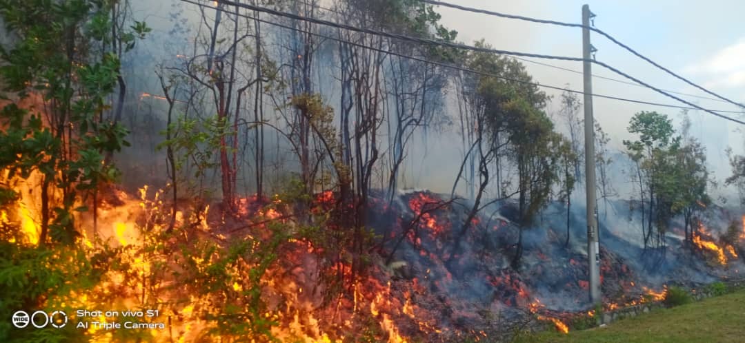 Bakar tayar terpakai punca hutan belukar terbakar
