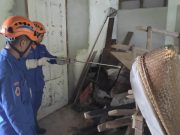 Waspada ancaman ular berbisa ketika cuaca panas