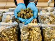 ‘Jantung ganja’ dirampas, suami isteri antara empat ditahan