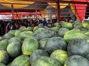 Lima tan tembikai licin dalam tempoh sejam di Karnival Mahabbah