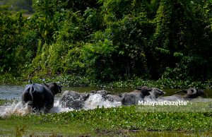 Cuaca panas hingga pertengahan April