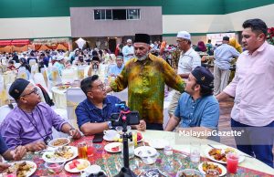 Cadang naikkan siling padi, beri subsidi tambahan pesawah – Syed Abu Hussin