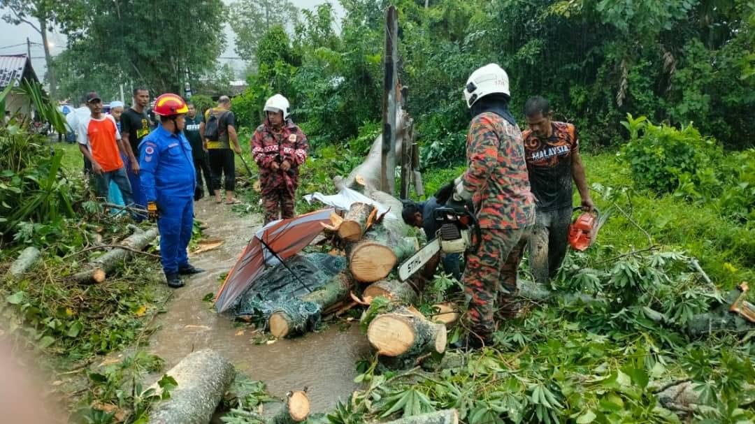 Wanita Warga Emas Maut Dihempap Pokok Tumbang