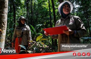 MGNews : Minat Ilmu Perhutanan Dorong Dua Wanita Teroka Kerjaya Renjer Hutan